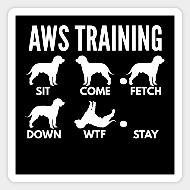 American Water Spaniel Training AWS Tricks Magnet by DoggyStyles